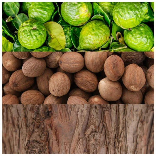 Calvin Klein Man EDT Spray 100ml - Image 3